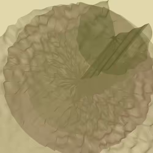 Lillypads #27