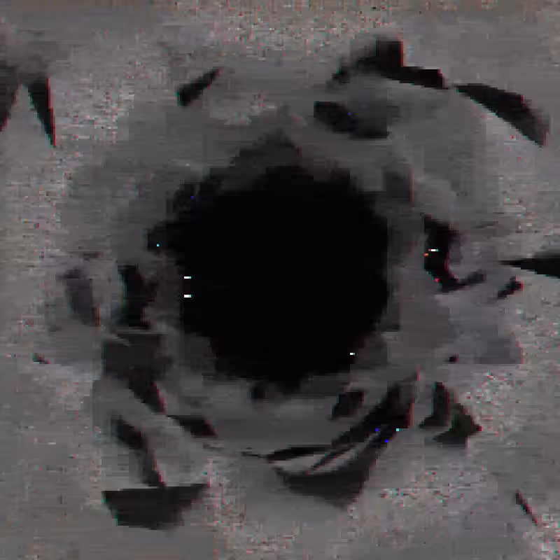 12444.mp4