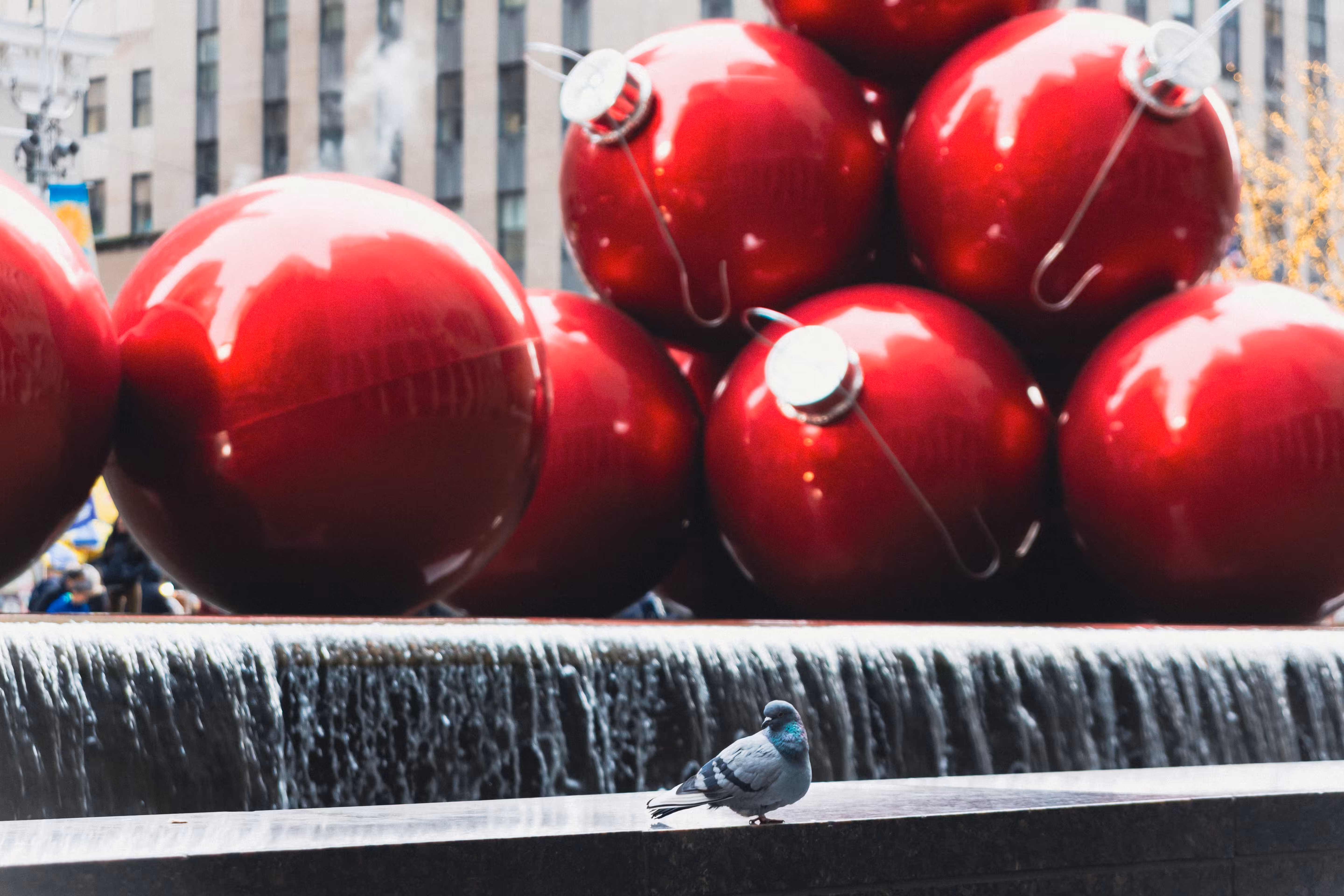 Tis the Season on Sixth