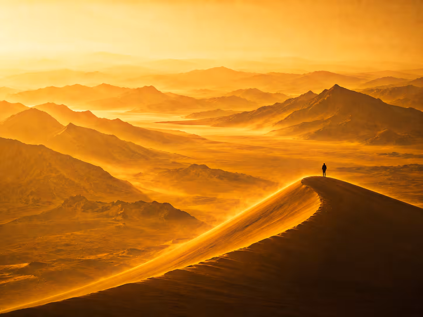 No One Knows: Infinite Dawn🌄☀️🍃