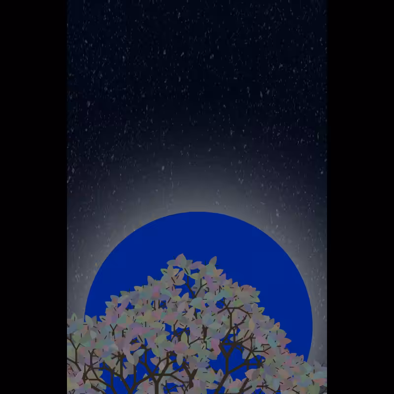 Moonlight Sonata #76