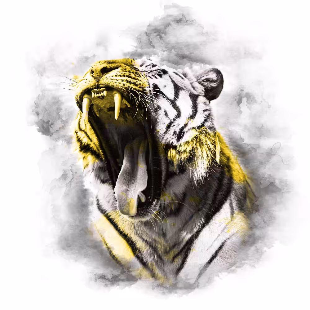 YELLOW SERIES - TIGER