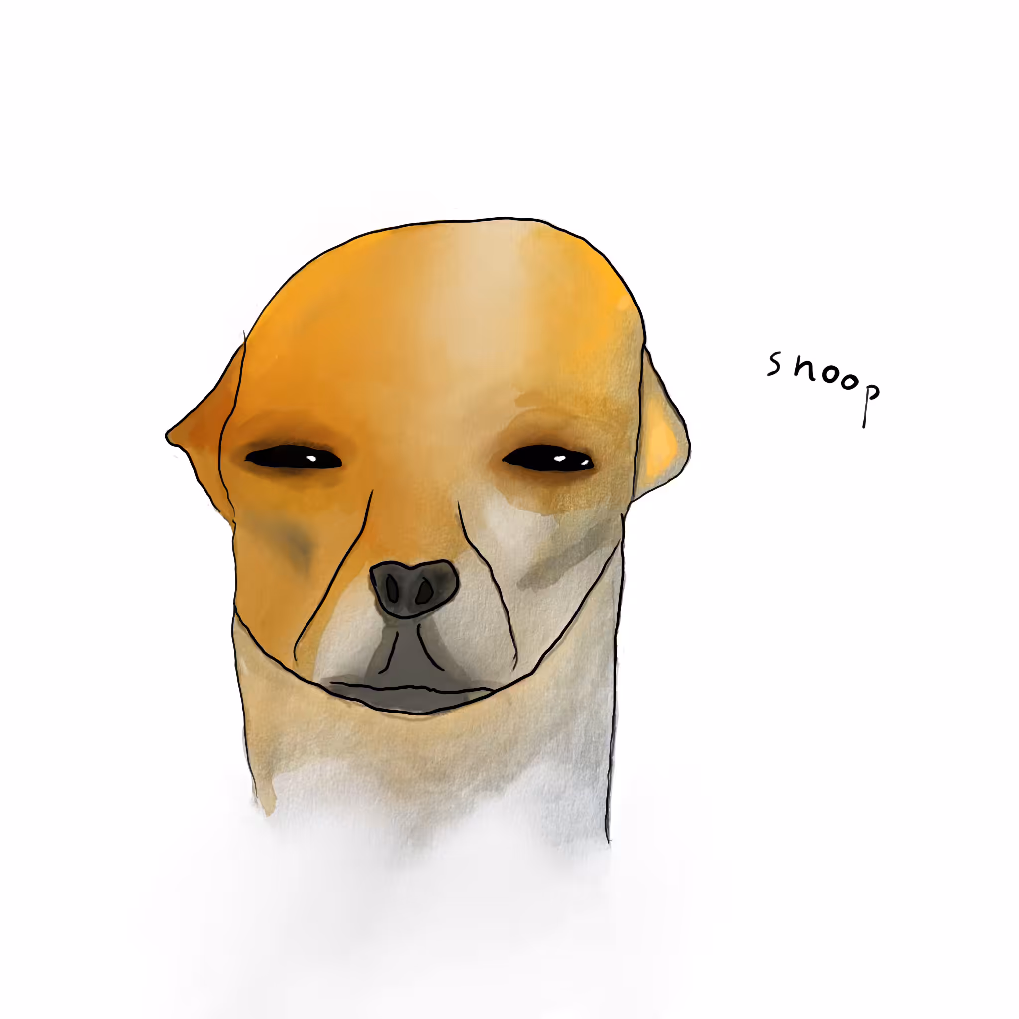 Snoop