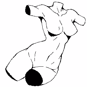 Torso 300x300 Pixel Drawing P007