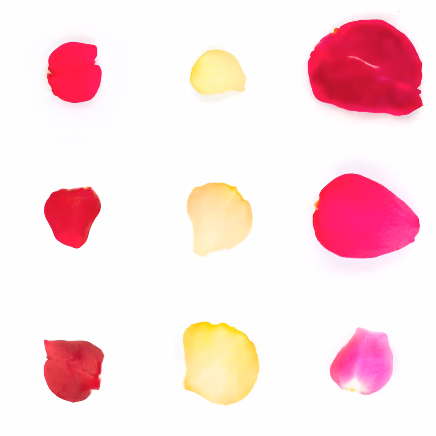 Infinite Petals 3x3#3694