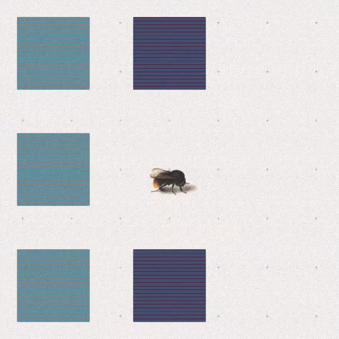 Bee #96