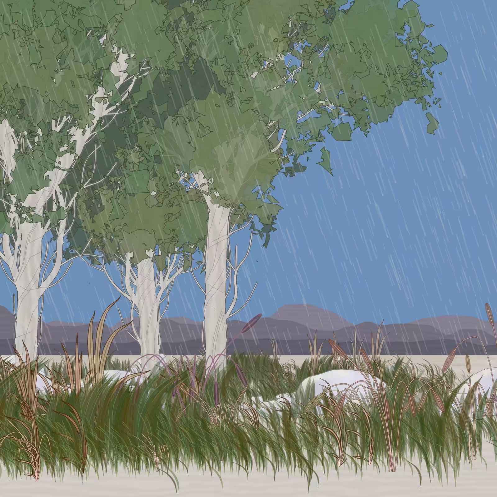 Rain Ritual #125