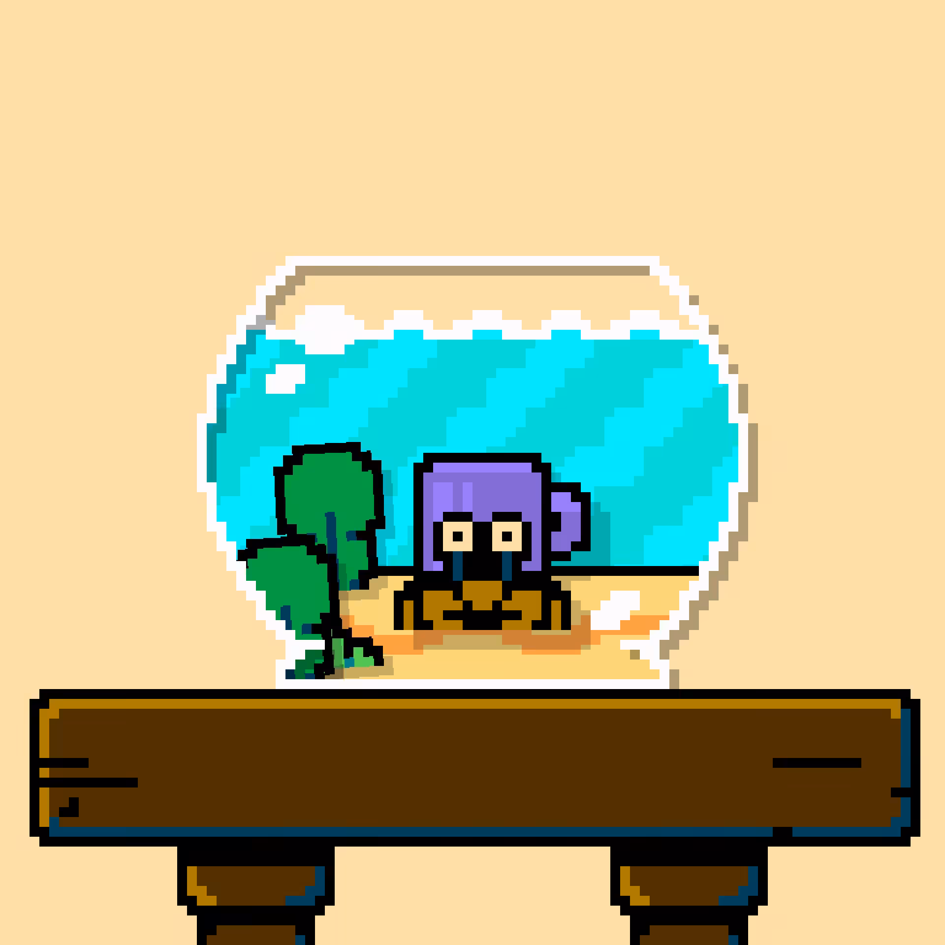 hermit crab #113
