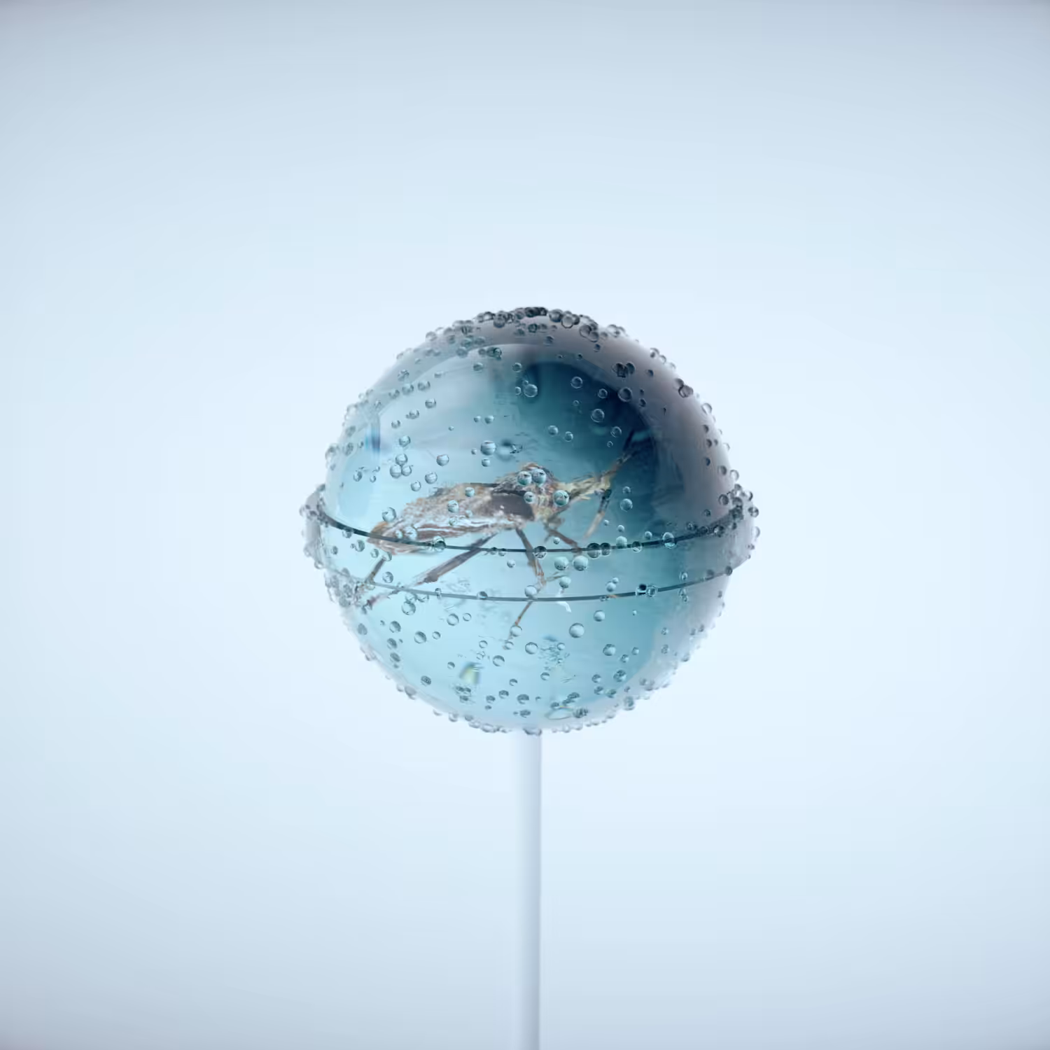 LOLLIPOP X BLUE