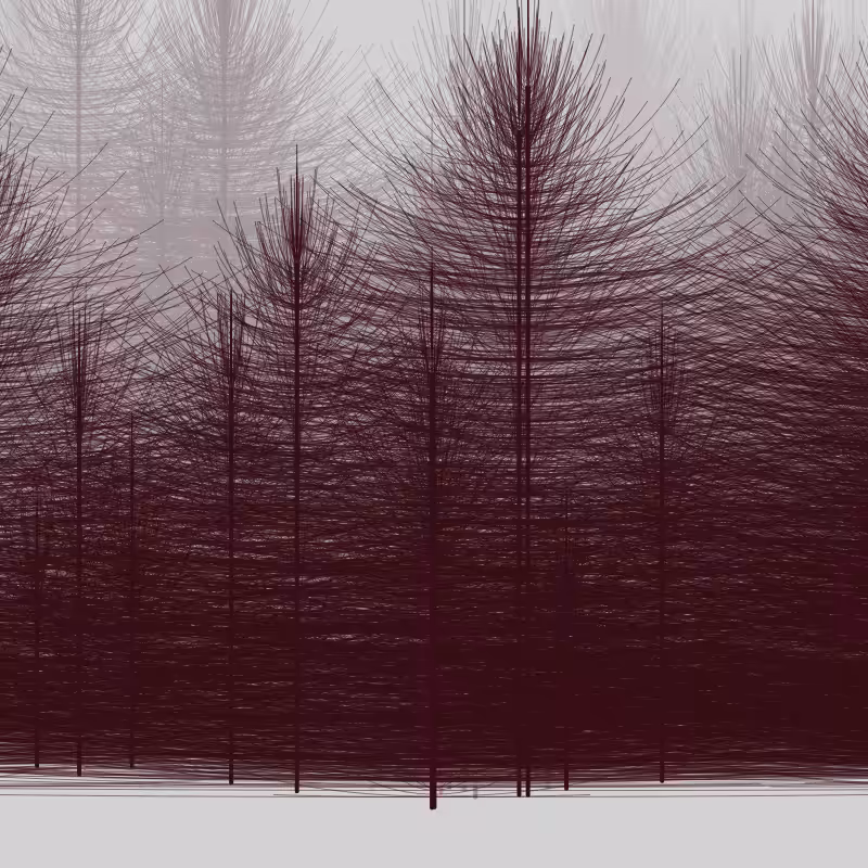 Elfin Forest #1