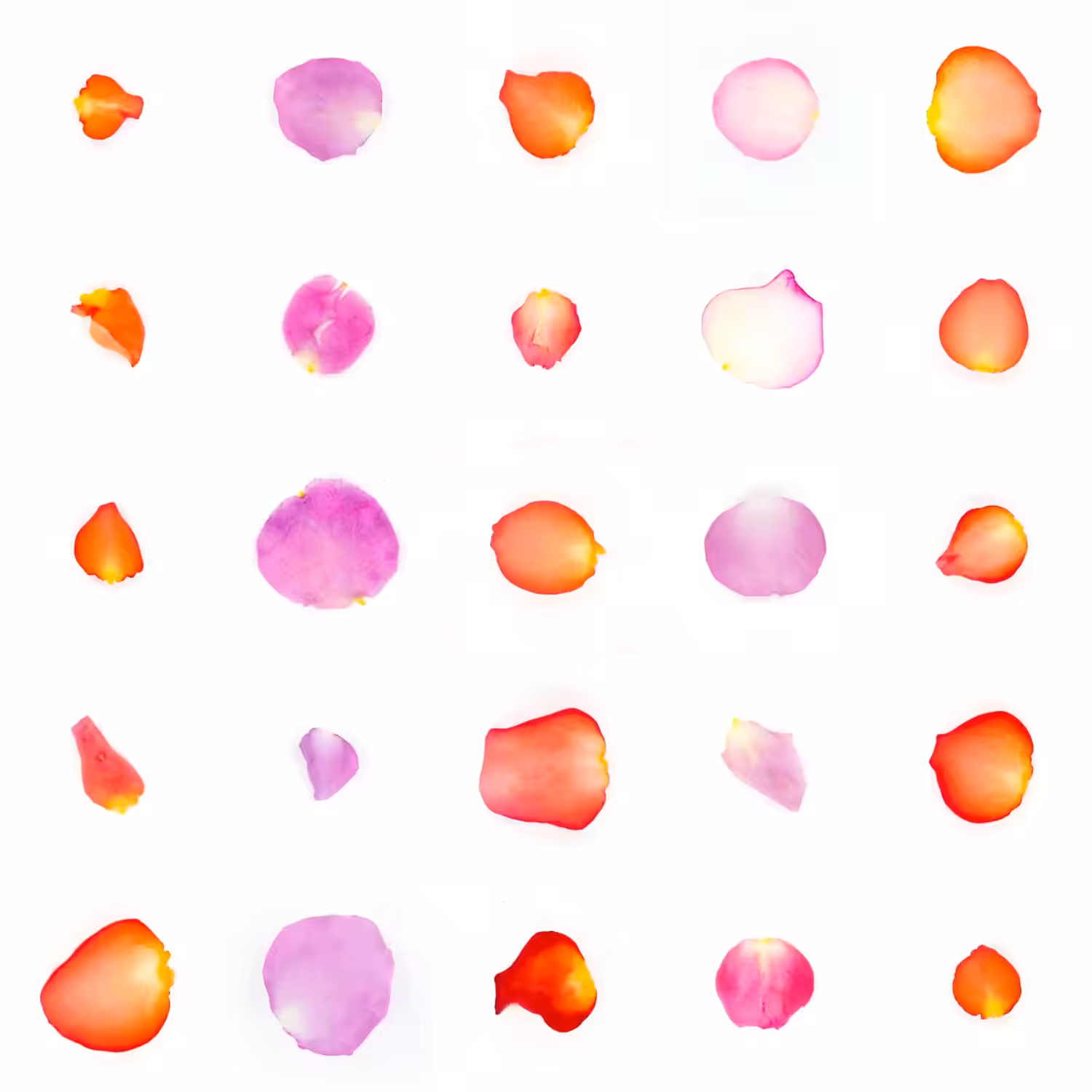 Infinite Petals 5x5#21071