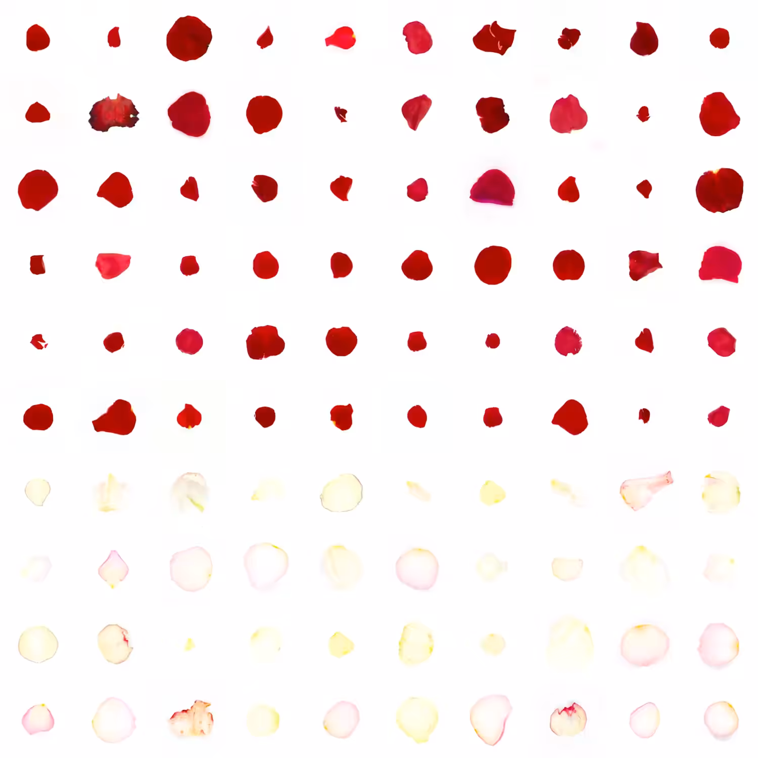 Infinite Petals 10x10#10065