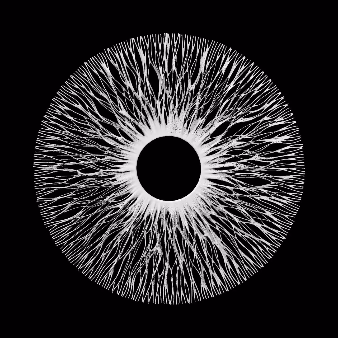 Rodeo posts: EYE