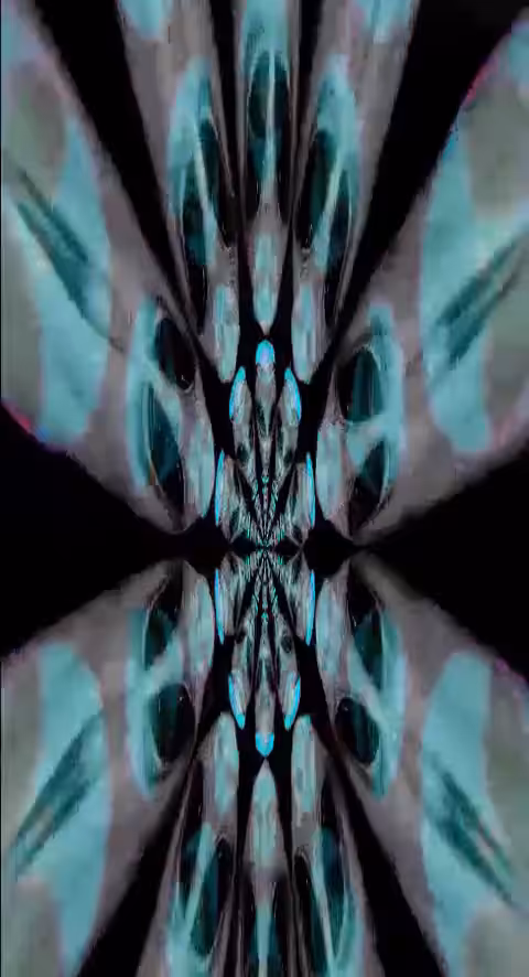 The Visitor