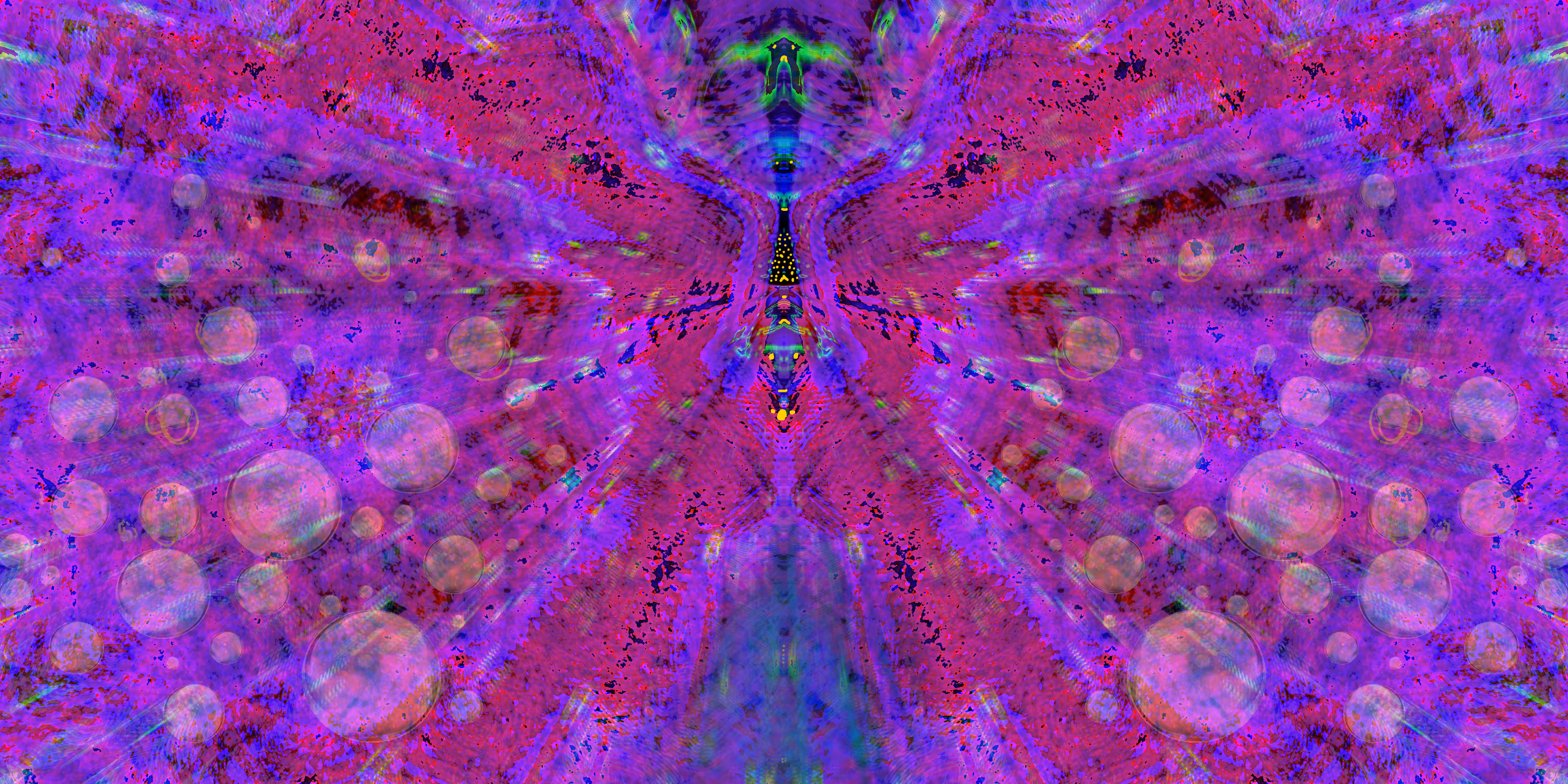 Resting Butterfly