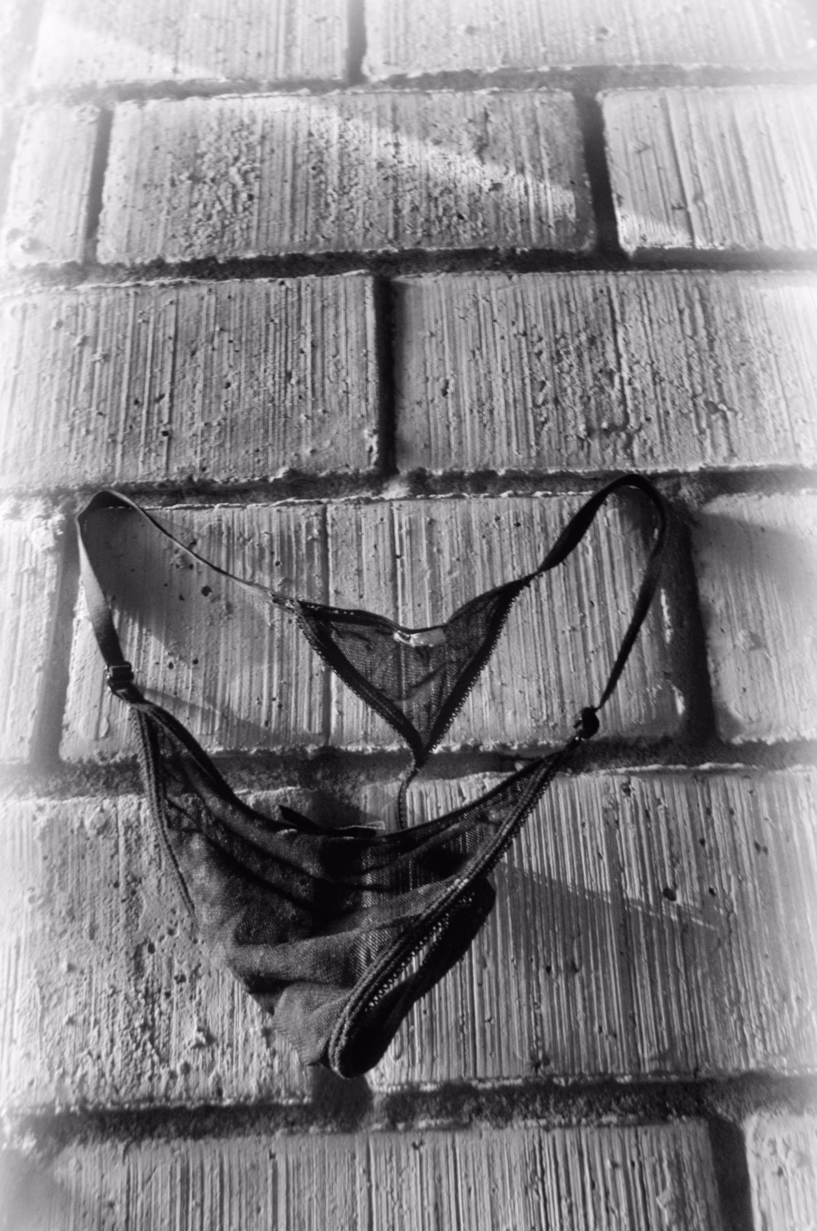 compendium: Intimate among bricks