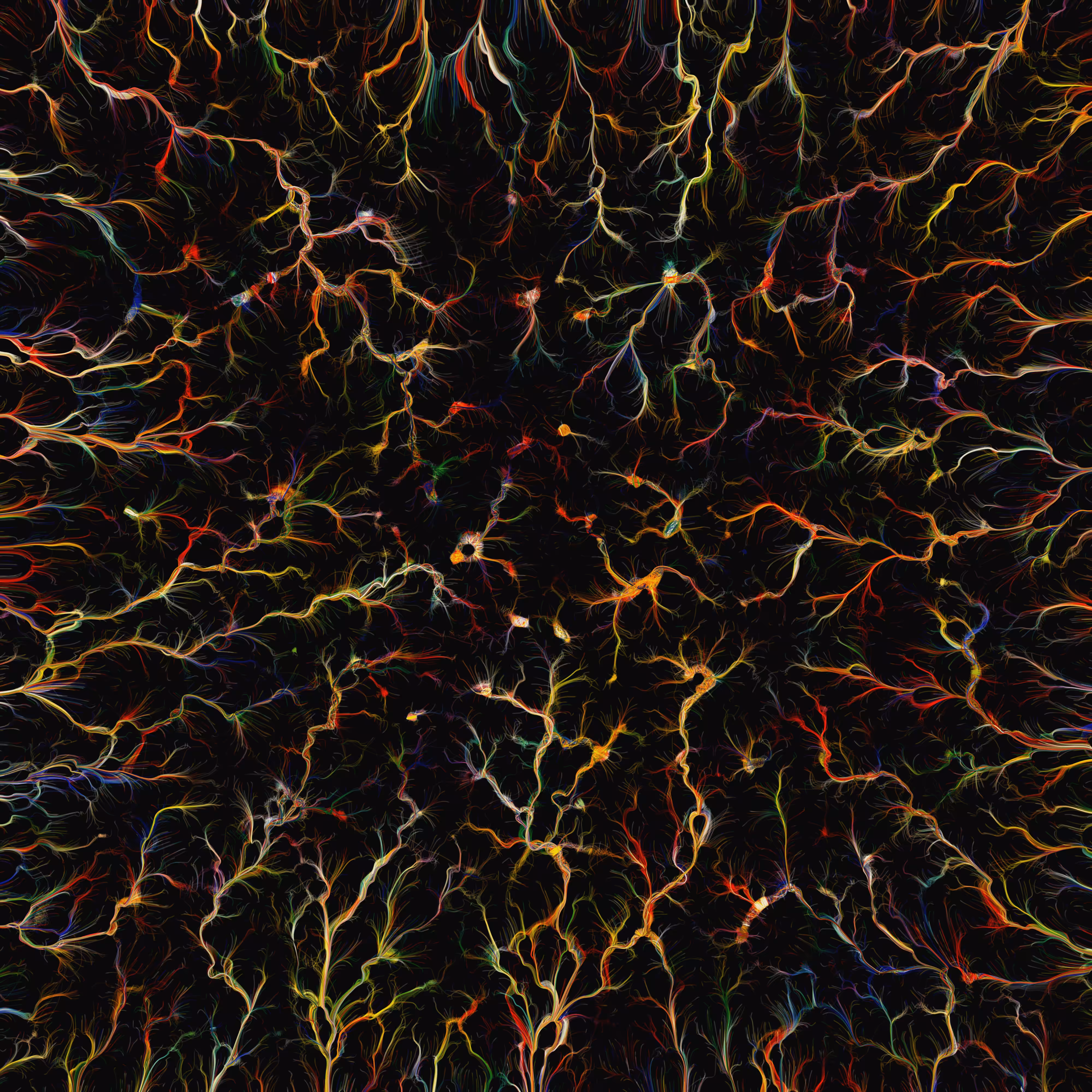 Growing Mind #6