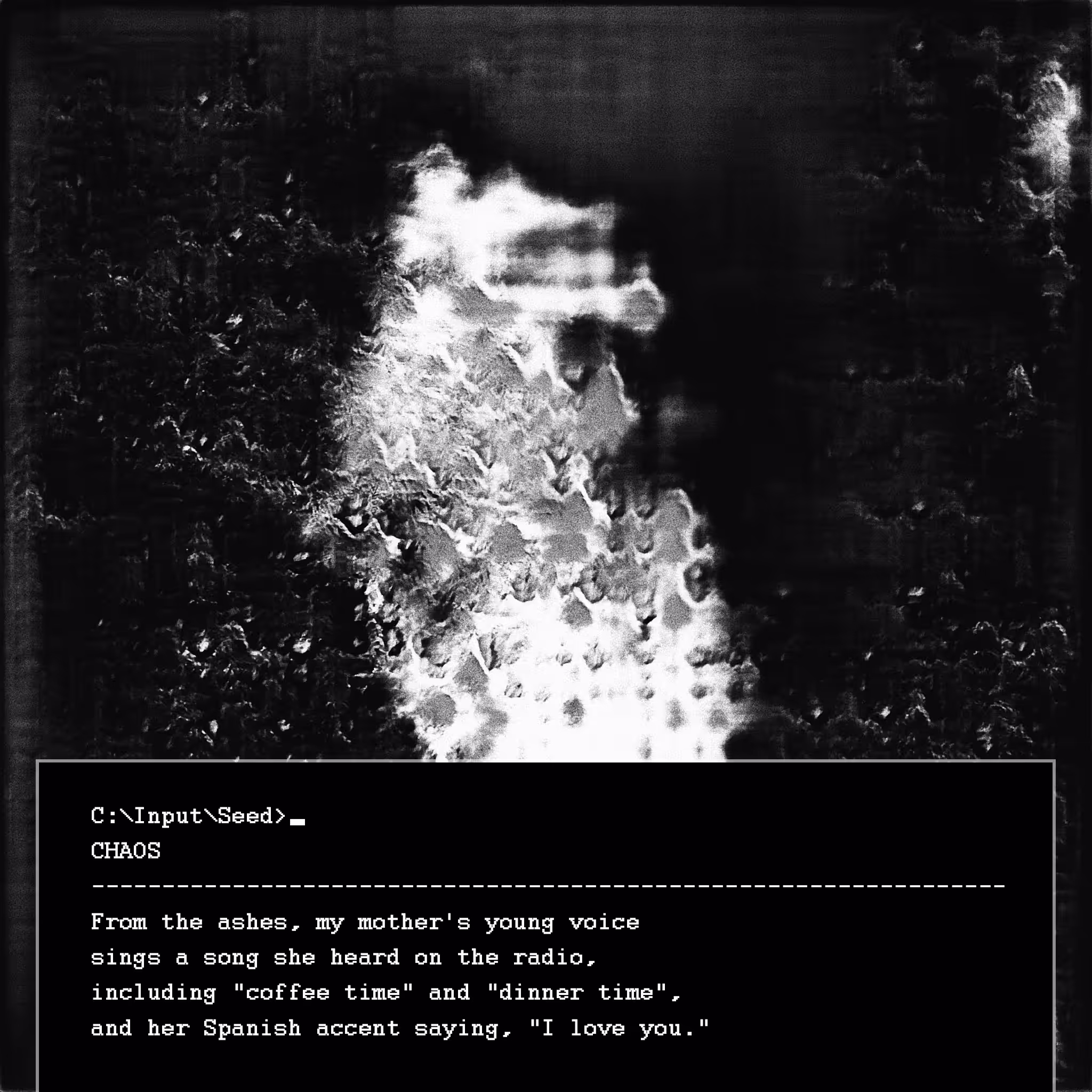 Seeds and Ashes - 2. chaos