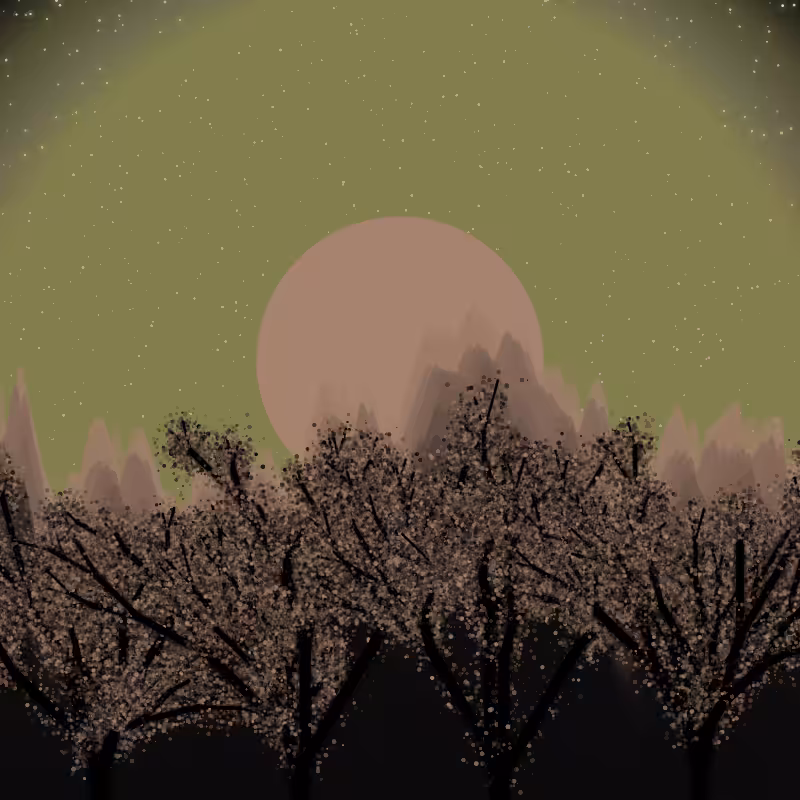 Black Forest #33
