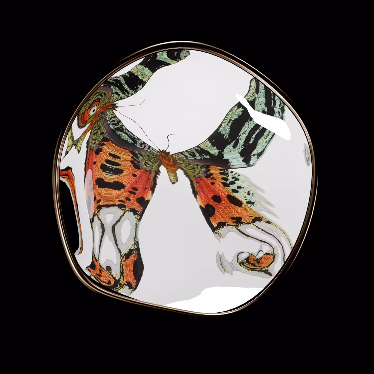 Butterfly Collection no.1