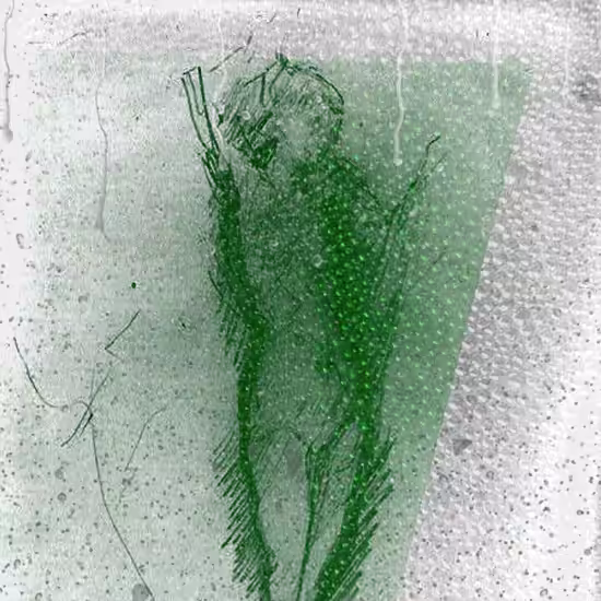 Fizzy Nude (Green)