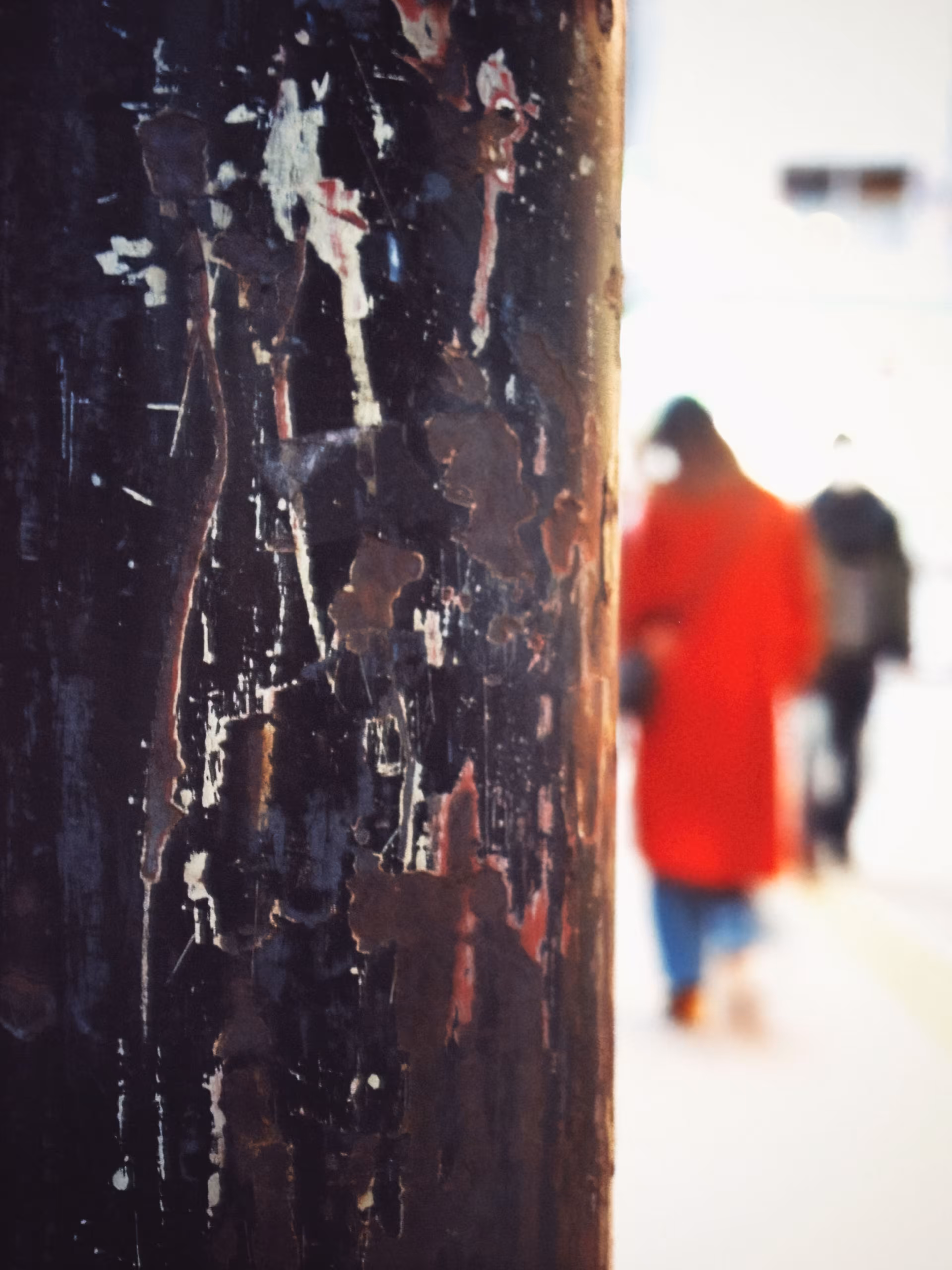 abrasion