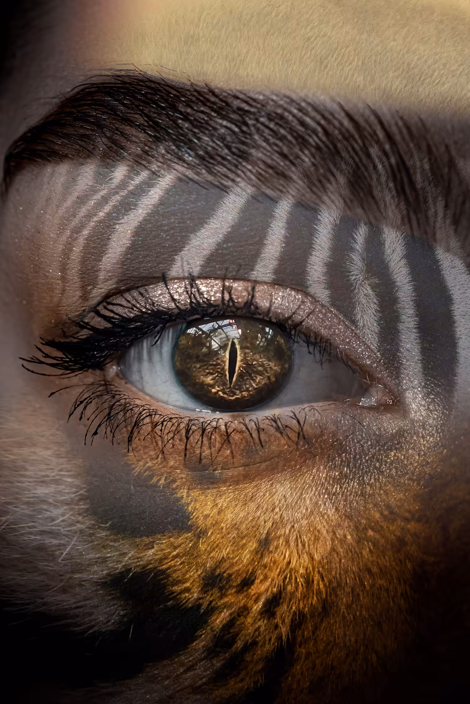 Animals