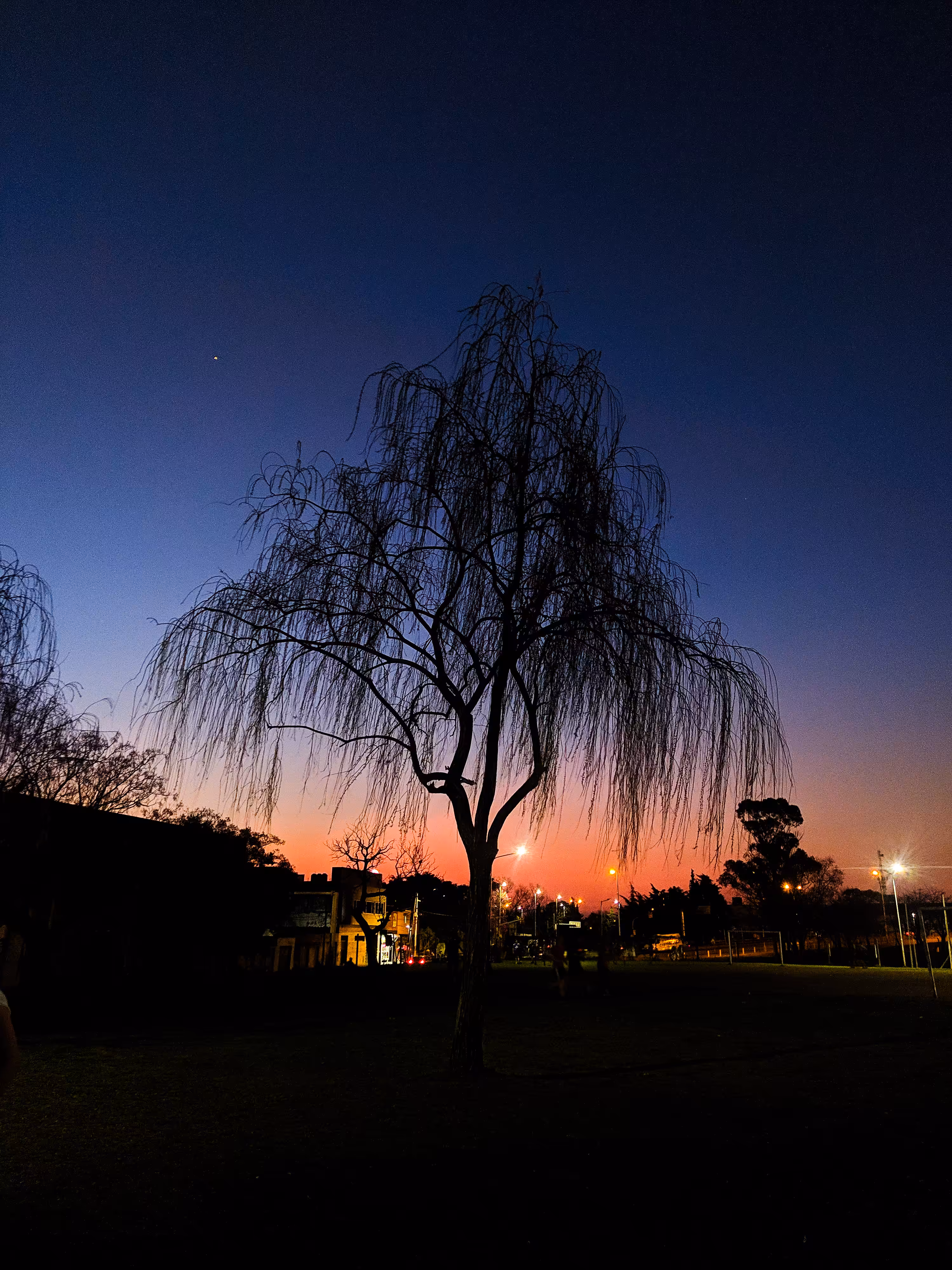 Sunset I