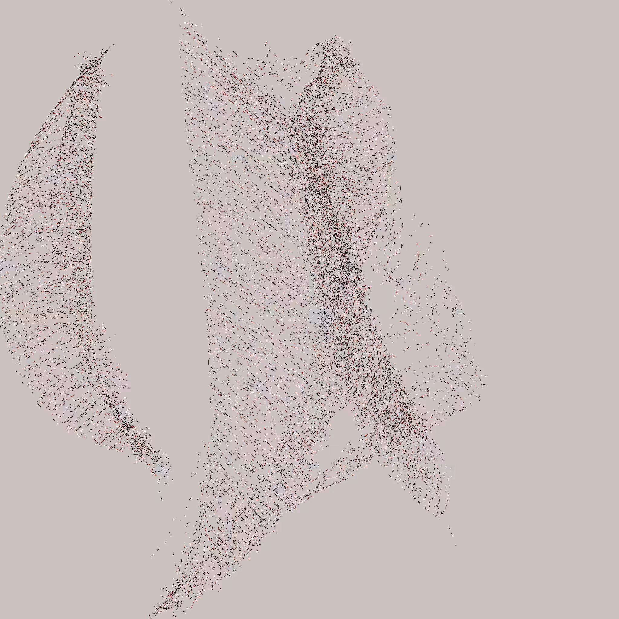 Leaves algorithm generations: LEAVES