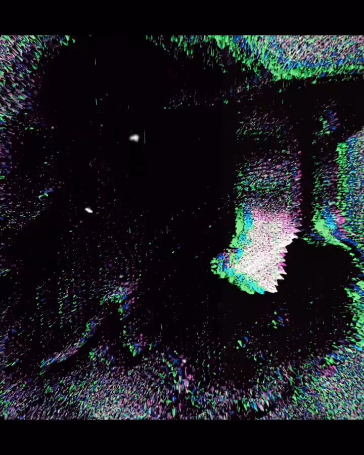 N1GMI