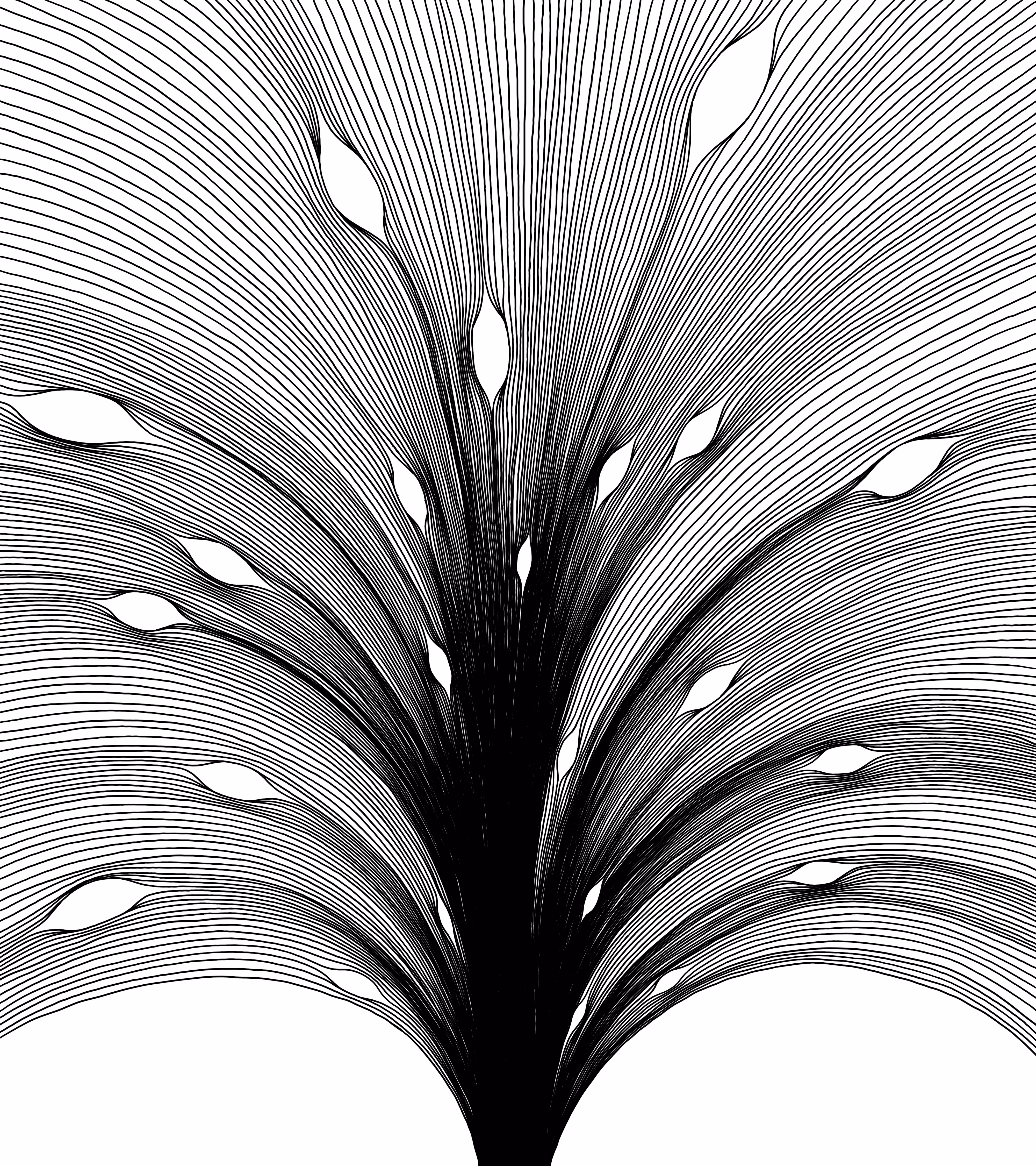 Vergence 7