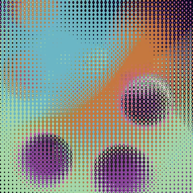 Focus #77