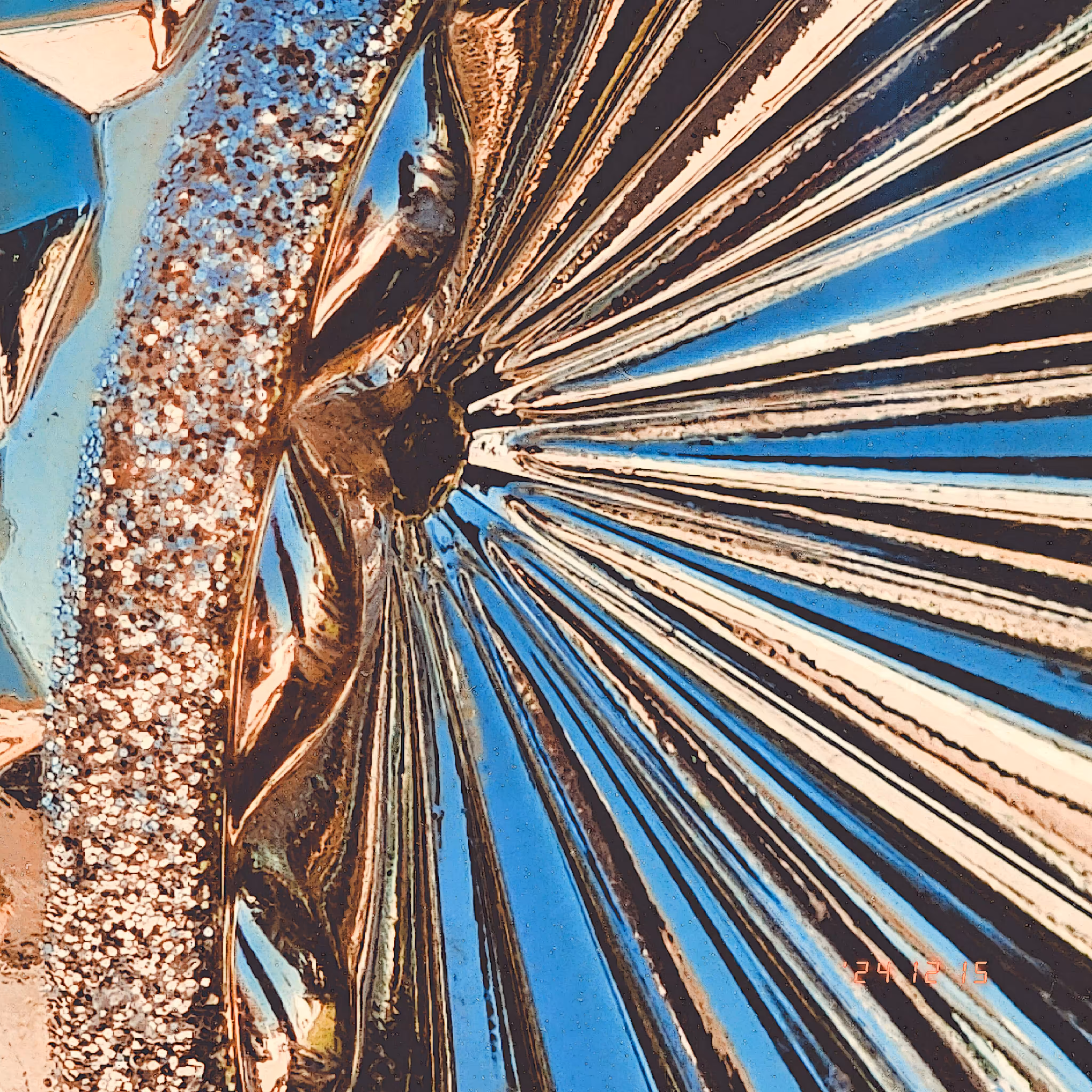 :a Visual Odyssey:: Day 350/365