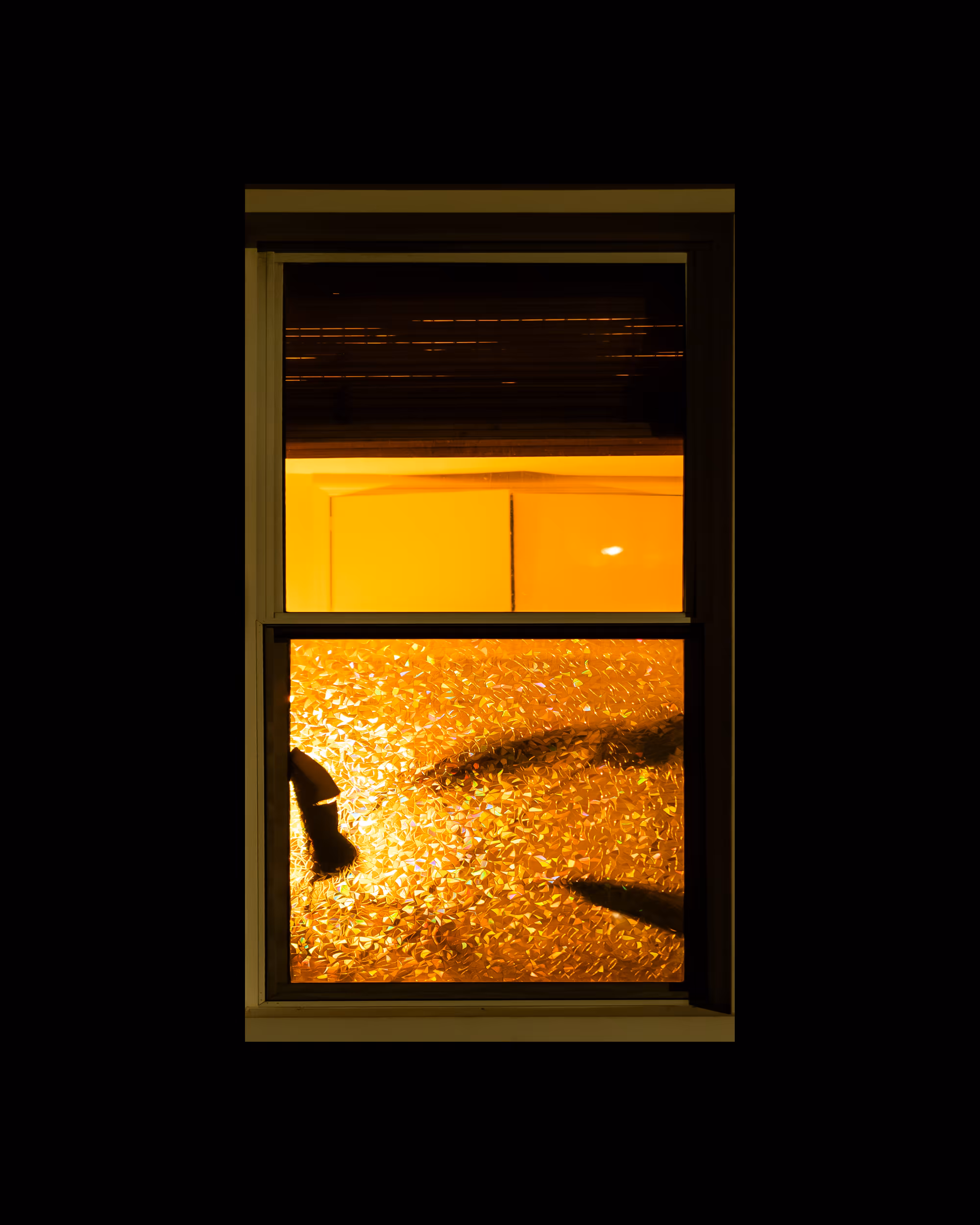 WINDOWS // NYC: WINDOW 471