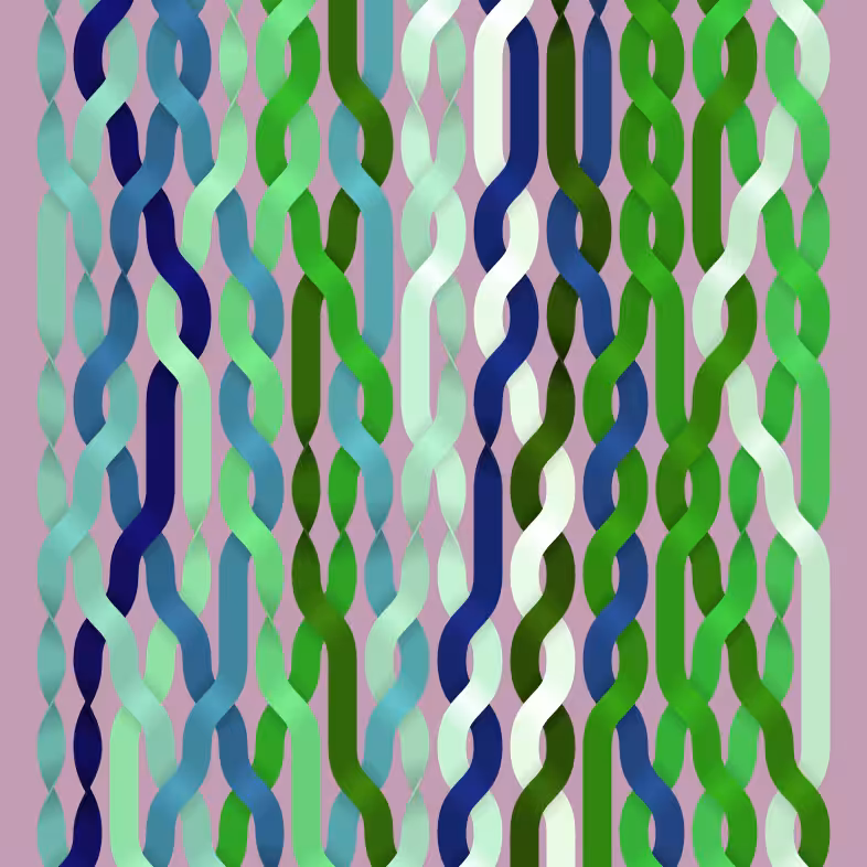 Endless Braids #17