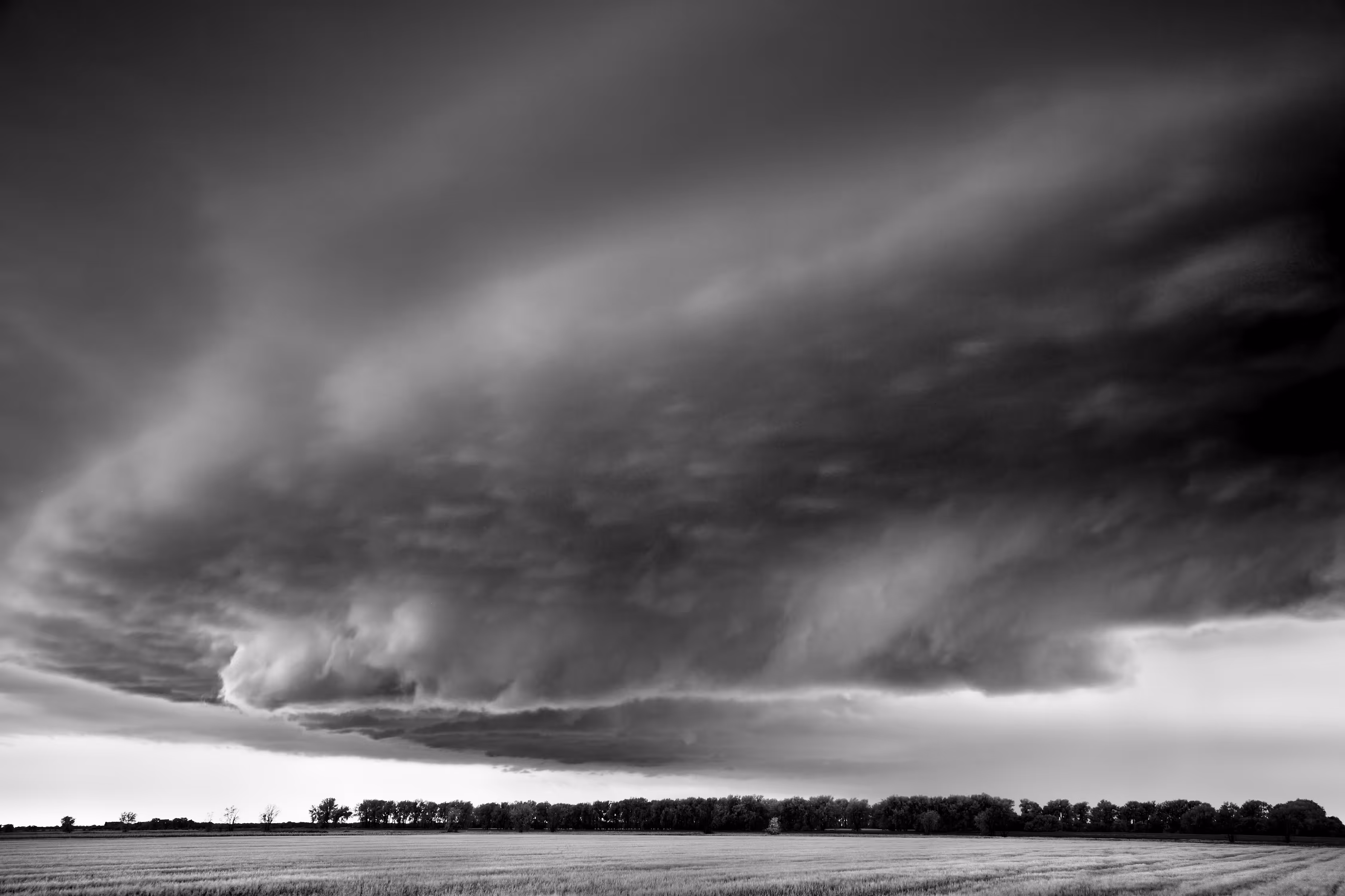 Storms - Ship-Trees