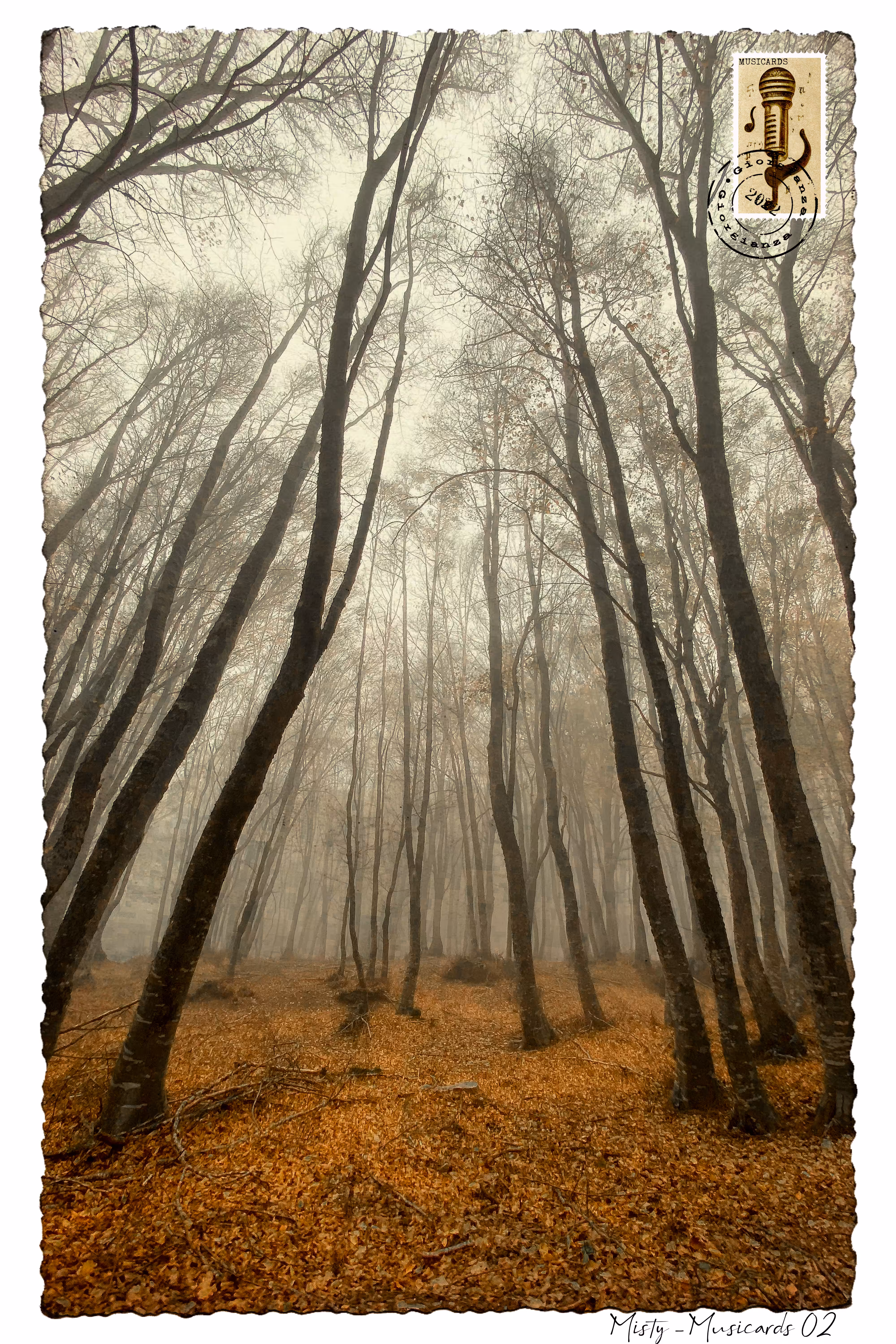 Misty - Musicards 02