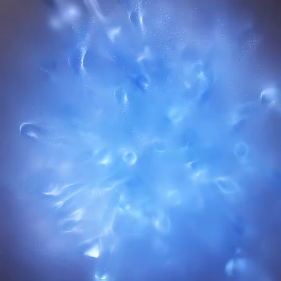 Blue Coral Jelly Ball
