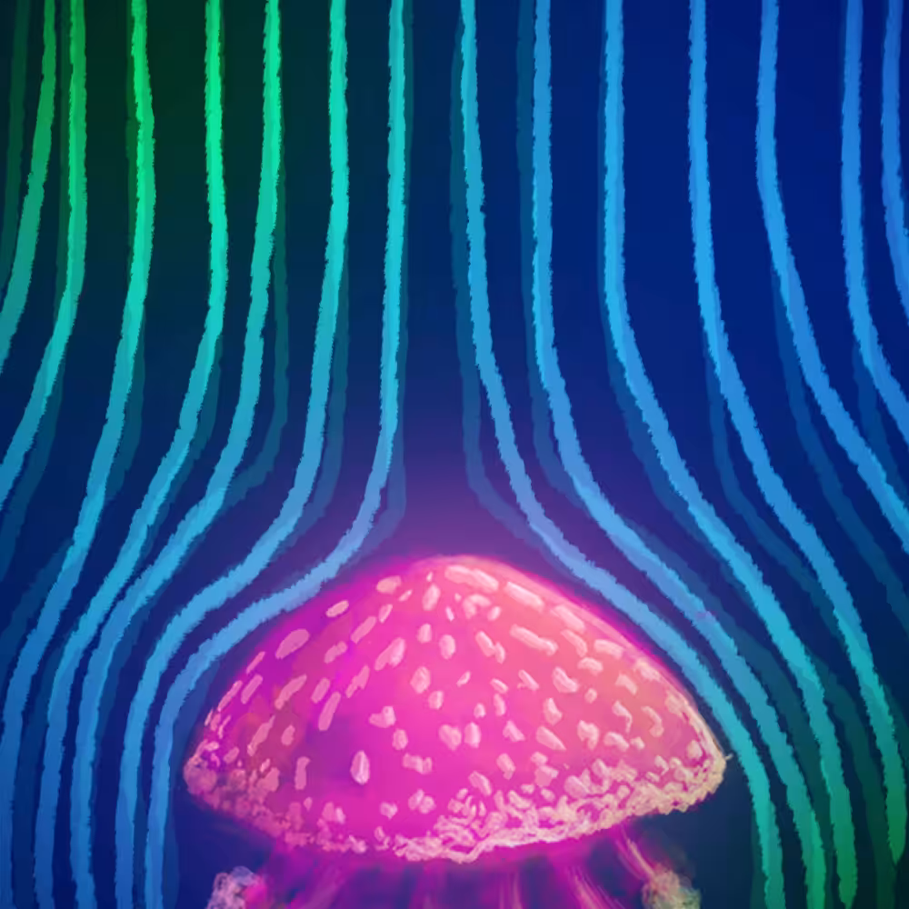 Jellyburger 