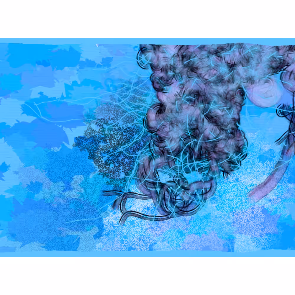 Bravata #13