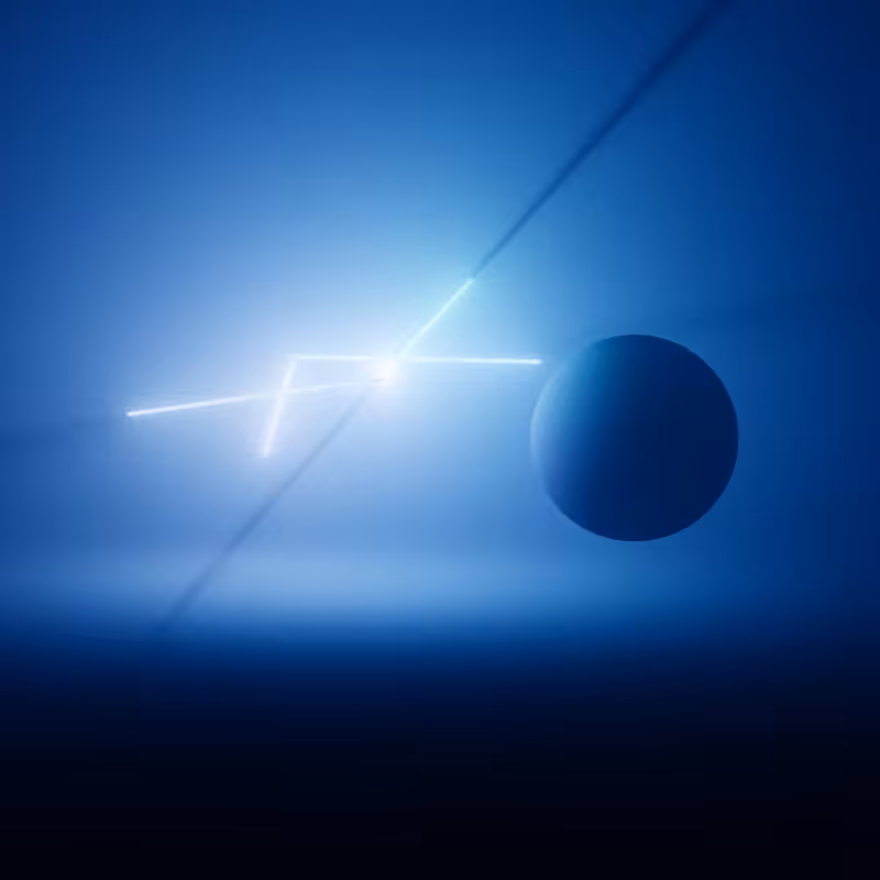 Wandering Nets #14