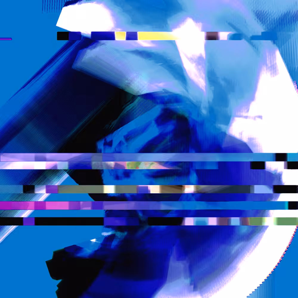 Wanderer #13
