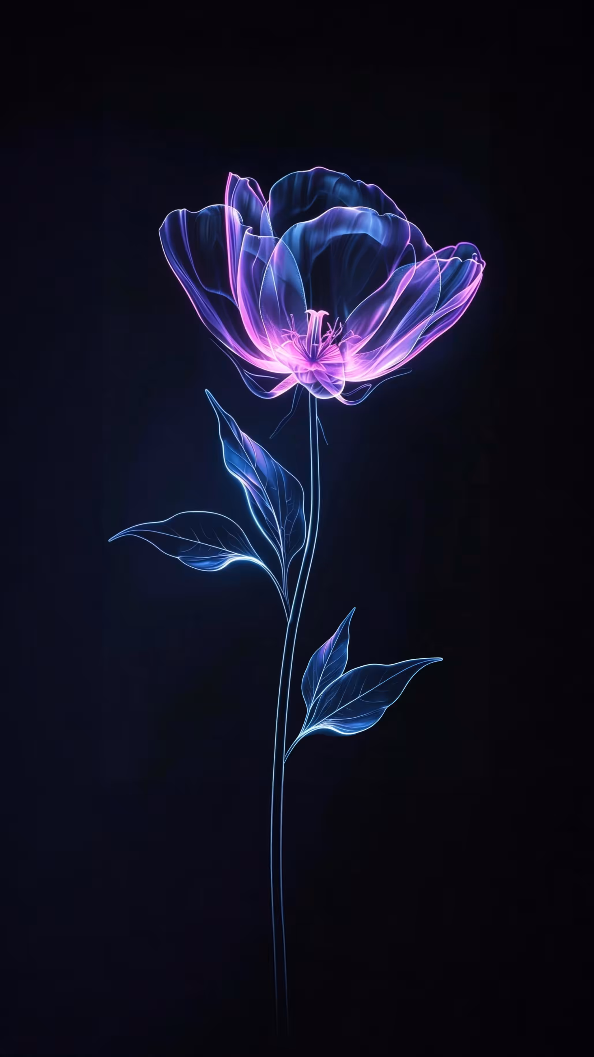 Blossom