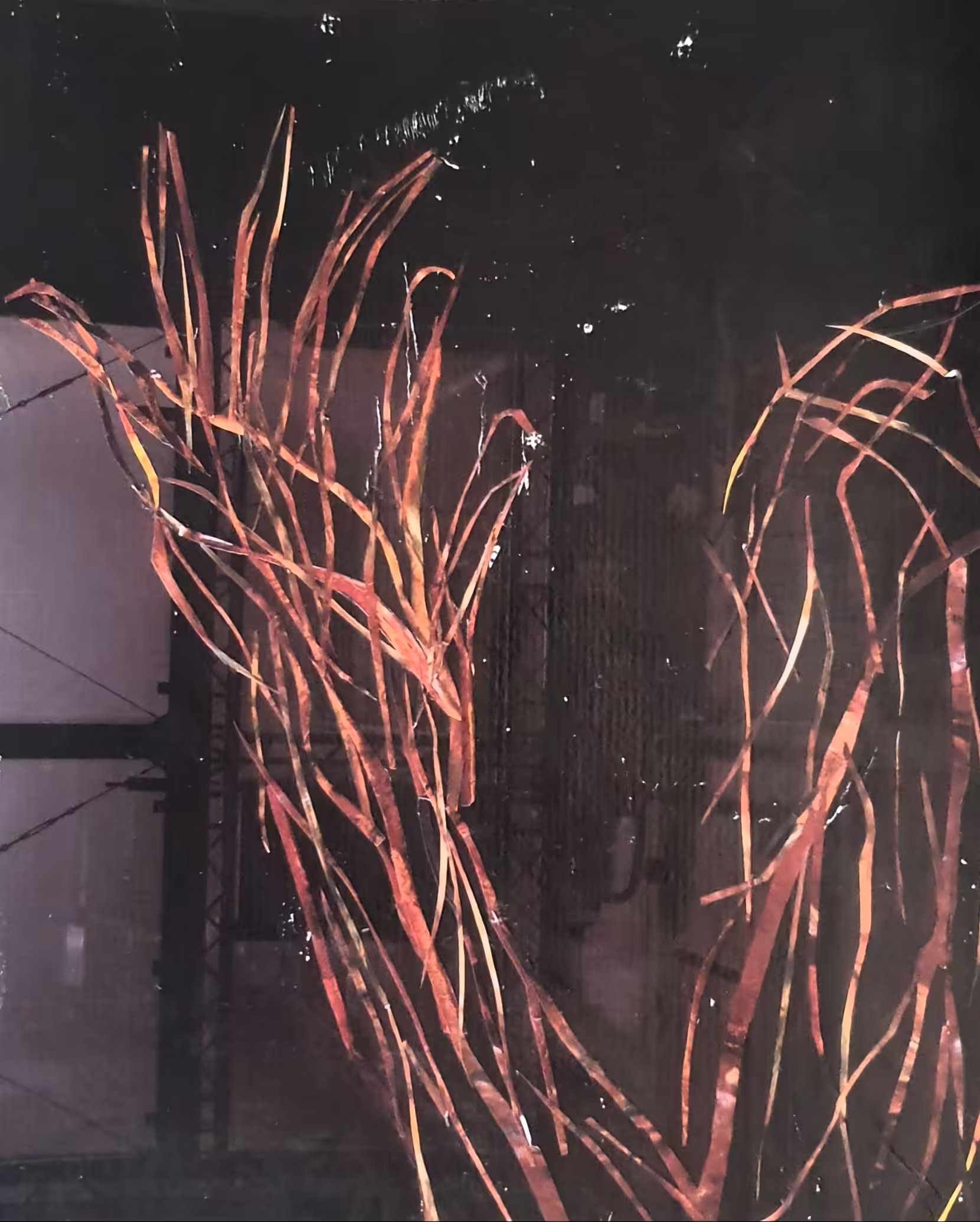 Photograph From Experiment #23