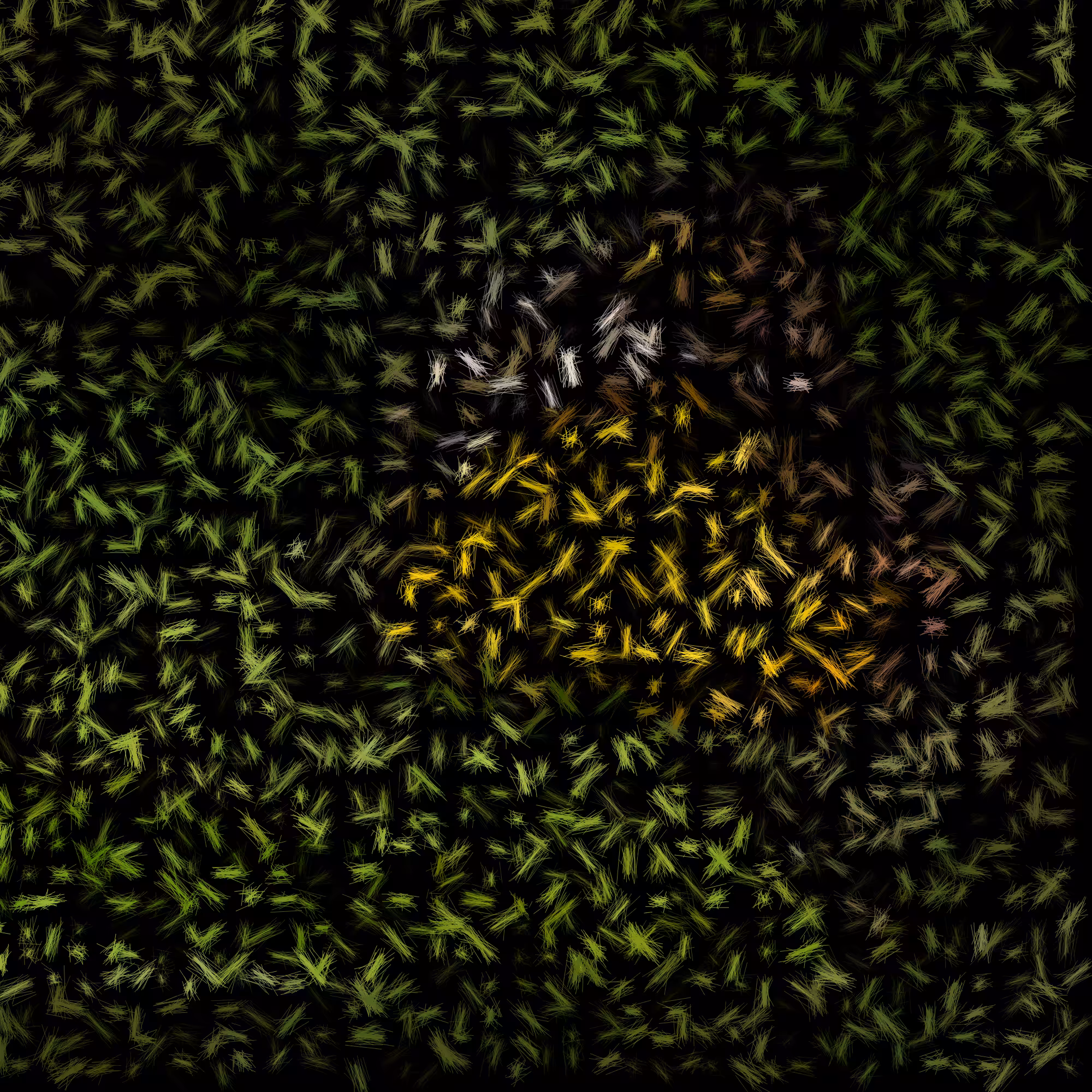 The Butterfly Effect #4