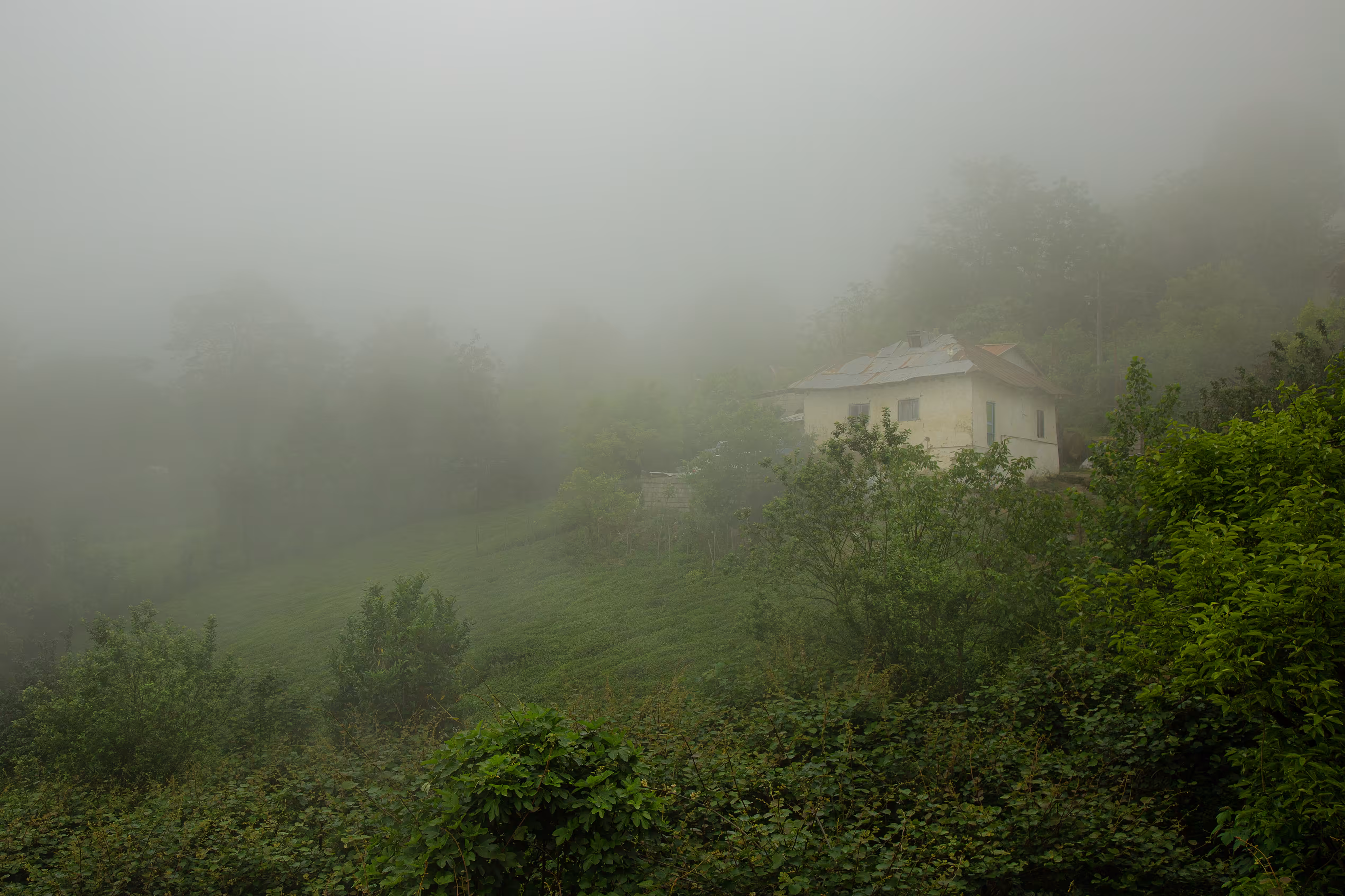 Misty Hideaway 