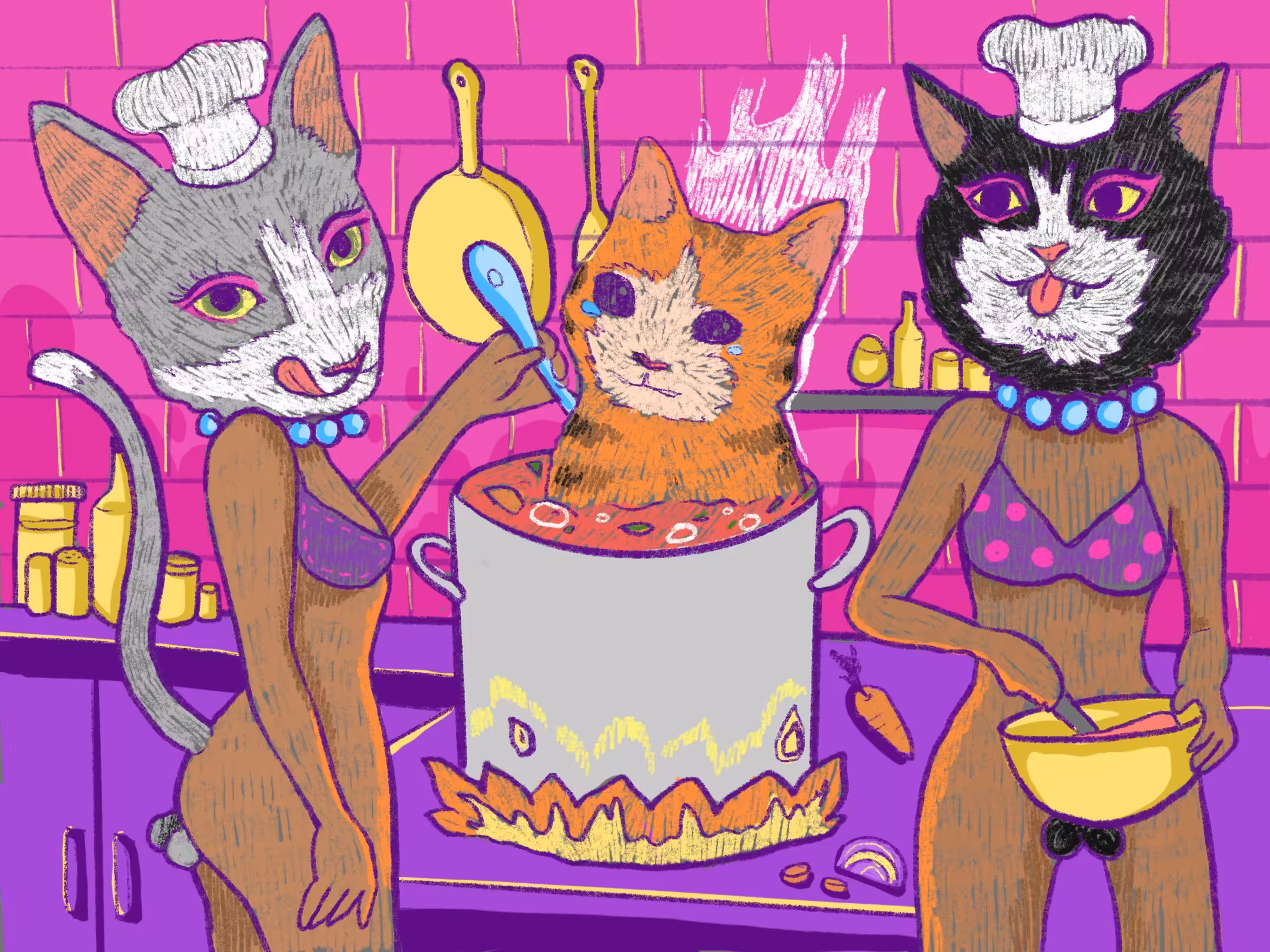 Cooking cat