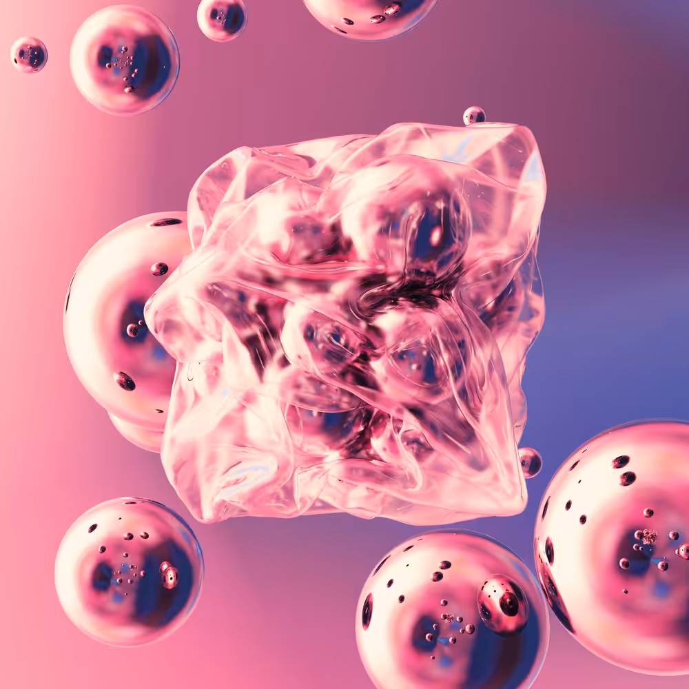Lucid