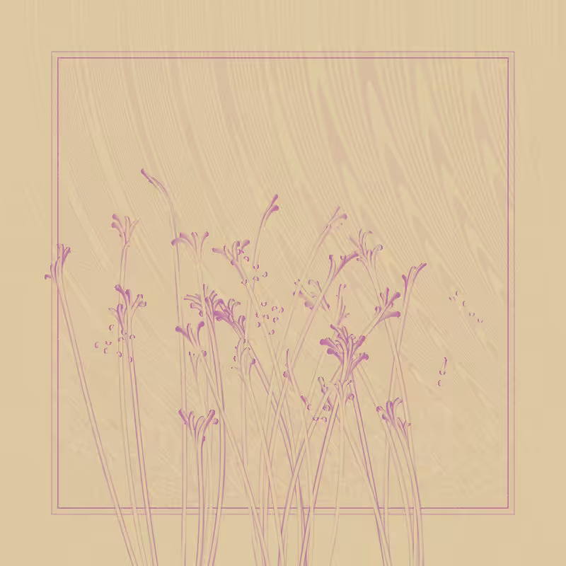 string_pllu #101