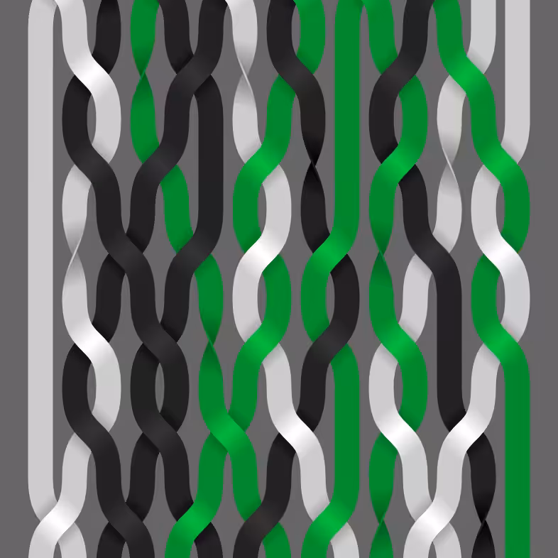 Endless Braids #116